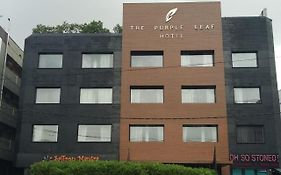 The Purple Leaf Hotels